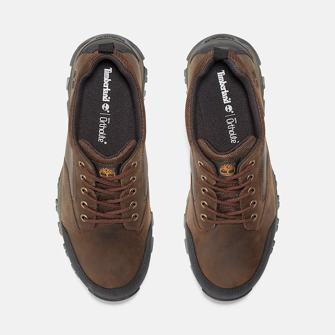 Mens Mt Maddsen Low Waterproof Hiking Boot TBL Brown ALT2
